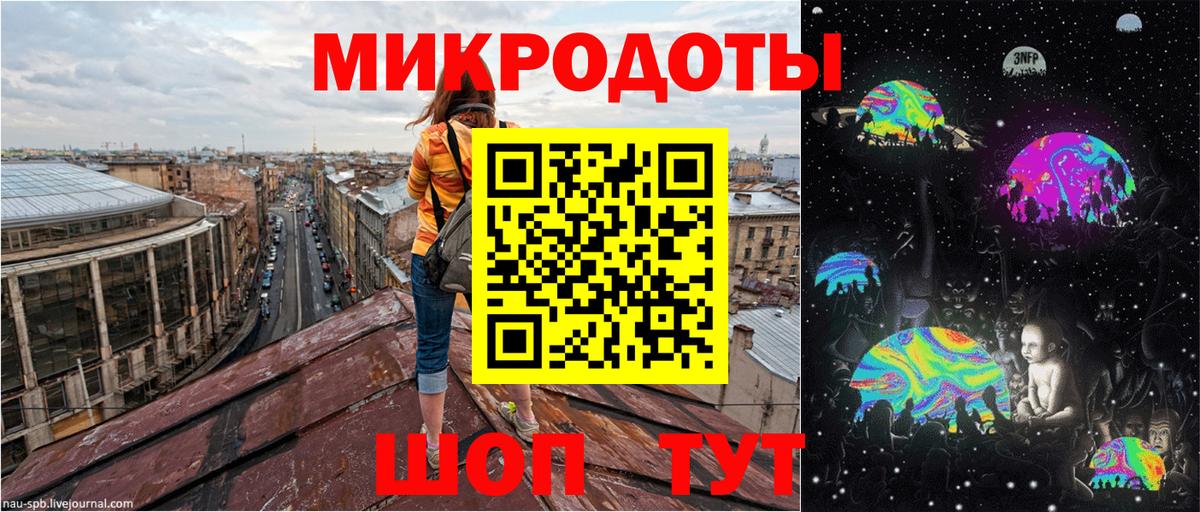 Псилоцибиновые грибы мицелий Черкесск