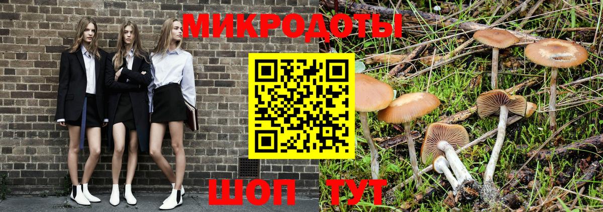 Галлюциногенные грибы GOLDEN TEACHER  Вход с VPN  Черкесск 